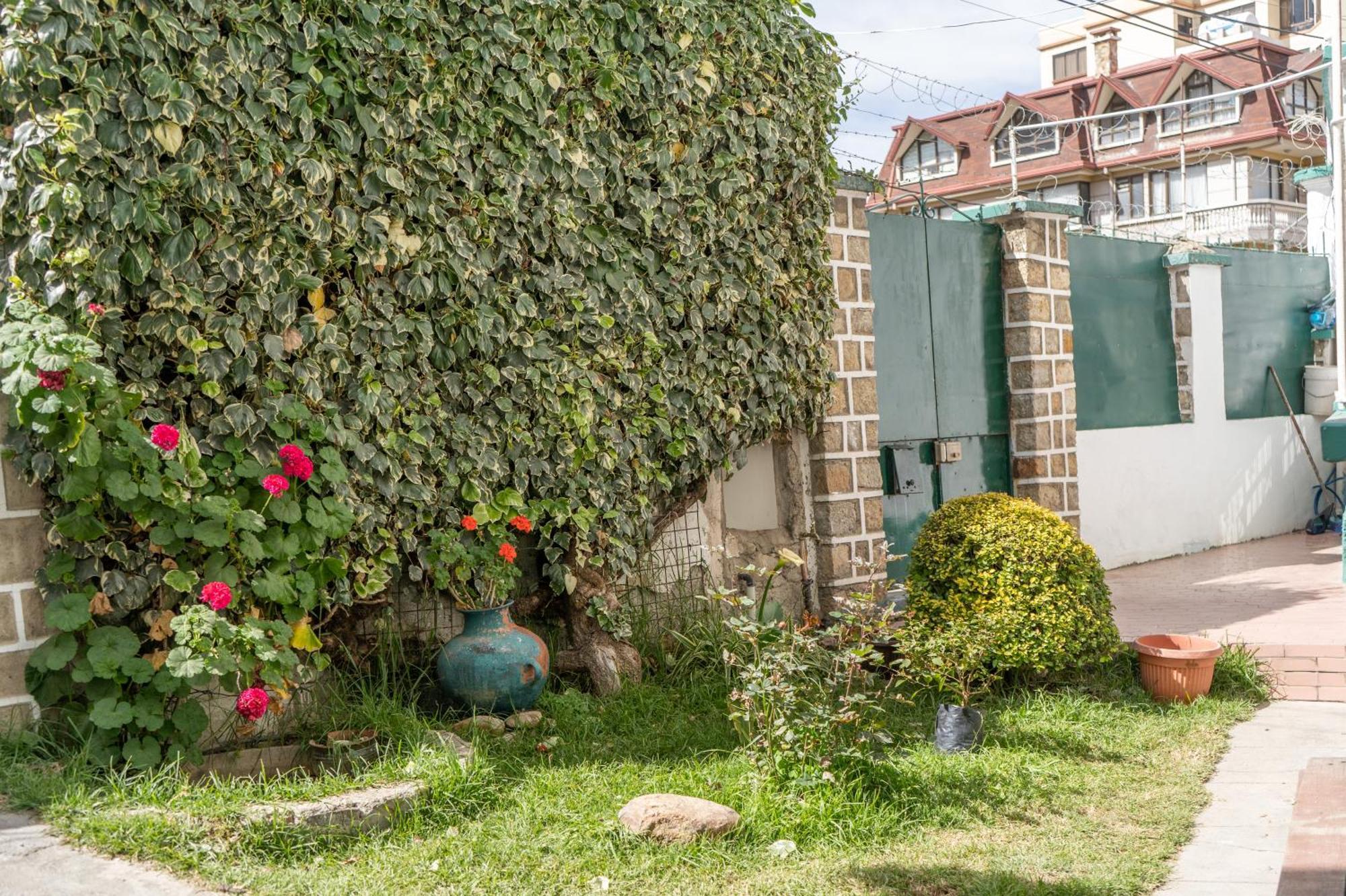 Nomad Hostel La Paz Exterior photo